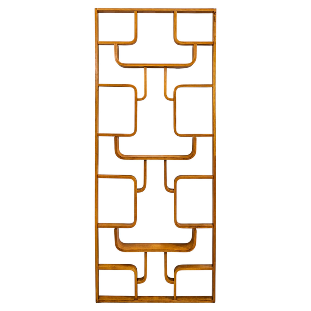 Mid-Century Room Divider by Ludvík Volák for Dřevopodnik Holešov, Czech Republic